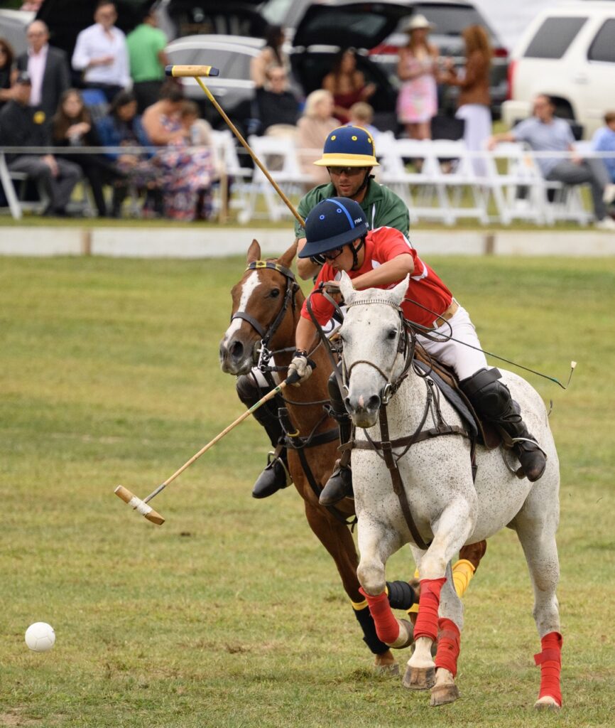 Two polo players ride on horses trying to hit a polo ball.