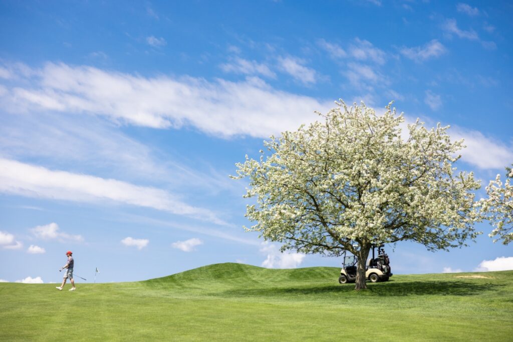 Rolling green hills and meadows at South Park Golf Course in Pittsburgh’s South Hills during a bright, sunny day.