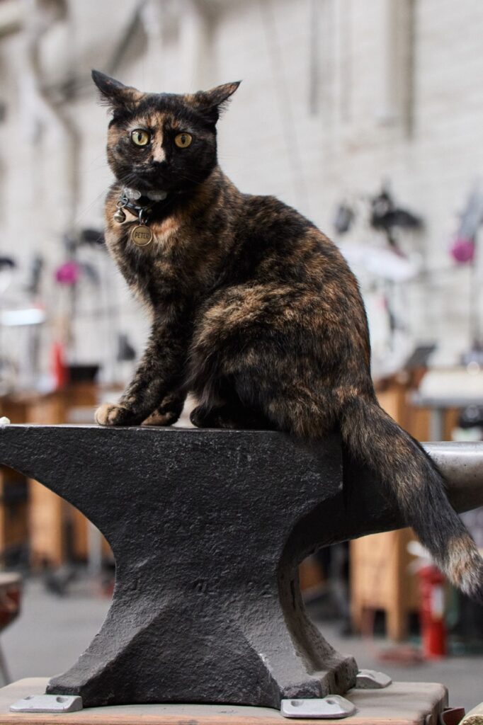 A tortie cat sits on an anvil.