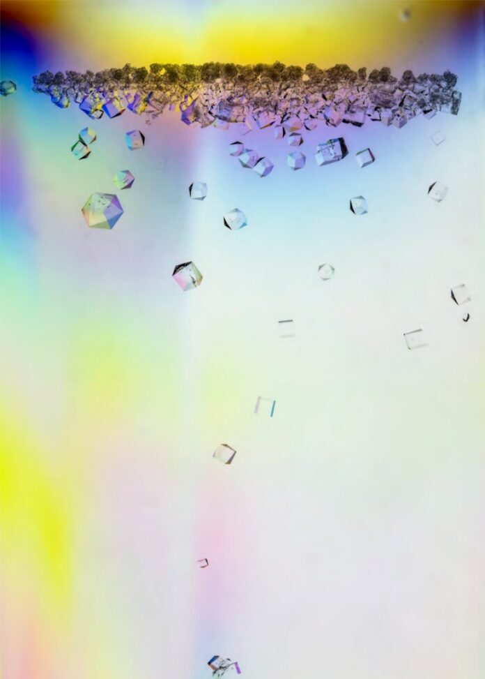 An abstract, macro-photograph featuring translucent crystalline structures suspended against a vibrant, multi-colored pastel background.