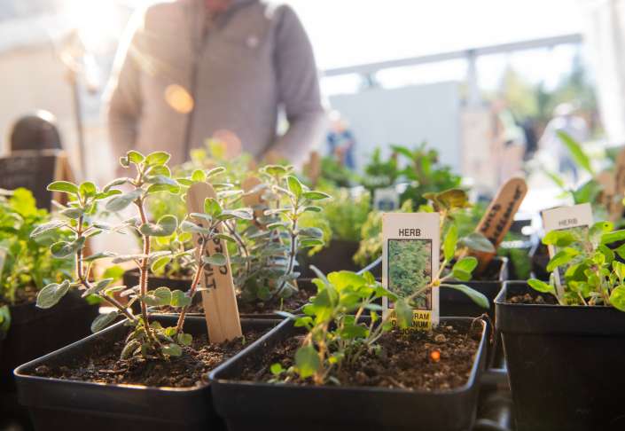 54483310374 187d6b5e2c k 1 705x486 1