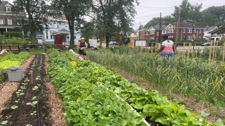 59CDA9B7 86C9 409E BA17 316D55BC9FBD 1 scaled 1 768x432