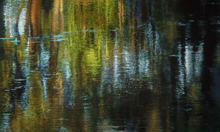 C7106 Shimmer II 768x459