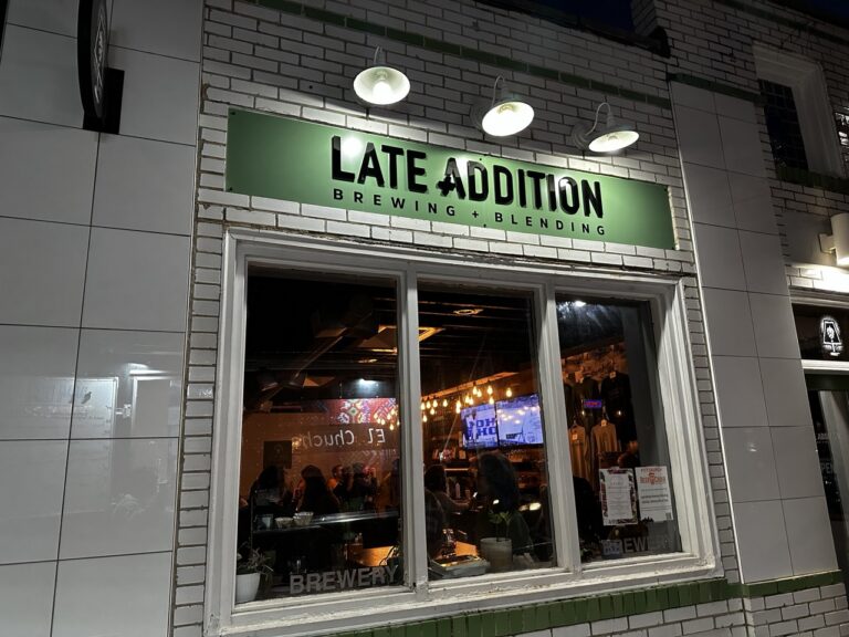 IMG 0042 Large 768x576