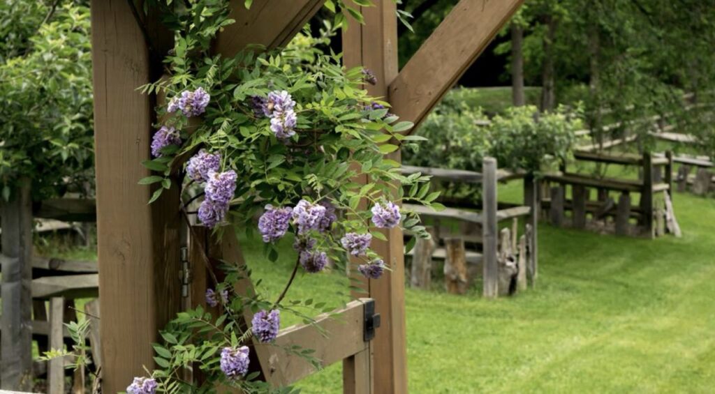 The outside of Pittsburgh Botanic Garden with purple flowers peaking out of a bush.