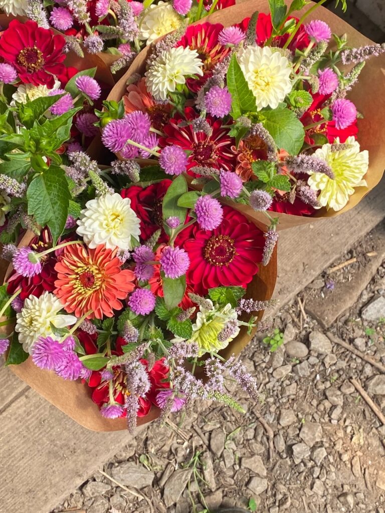 Red, orange, and purple flowers on a bench.