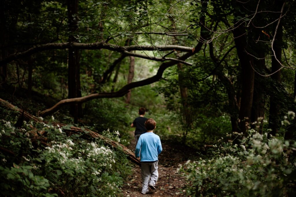 Two kids walk through a park with thick forest trees.