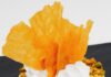 Plan Your Week: The Best Pittsburgh Events June 1-7 A featured Greek dish at Kennywood's Bites and Pints Festival.