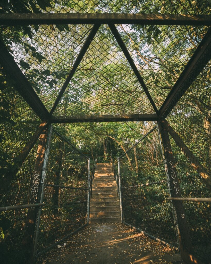 A cage over top of a set of stairs in a forest.