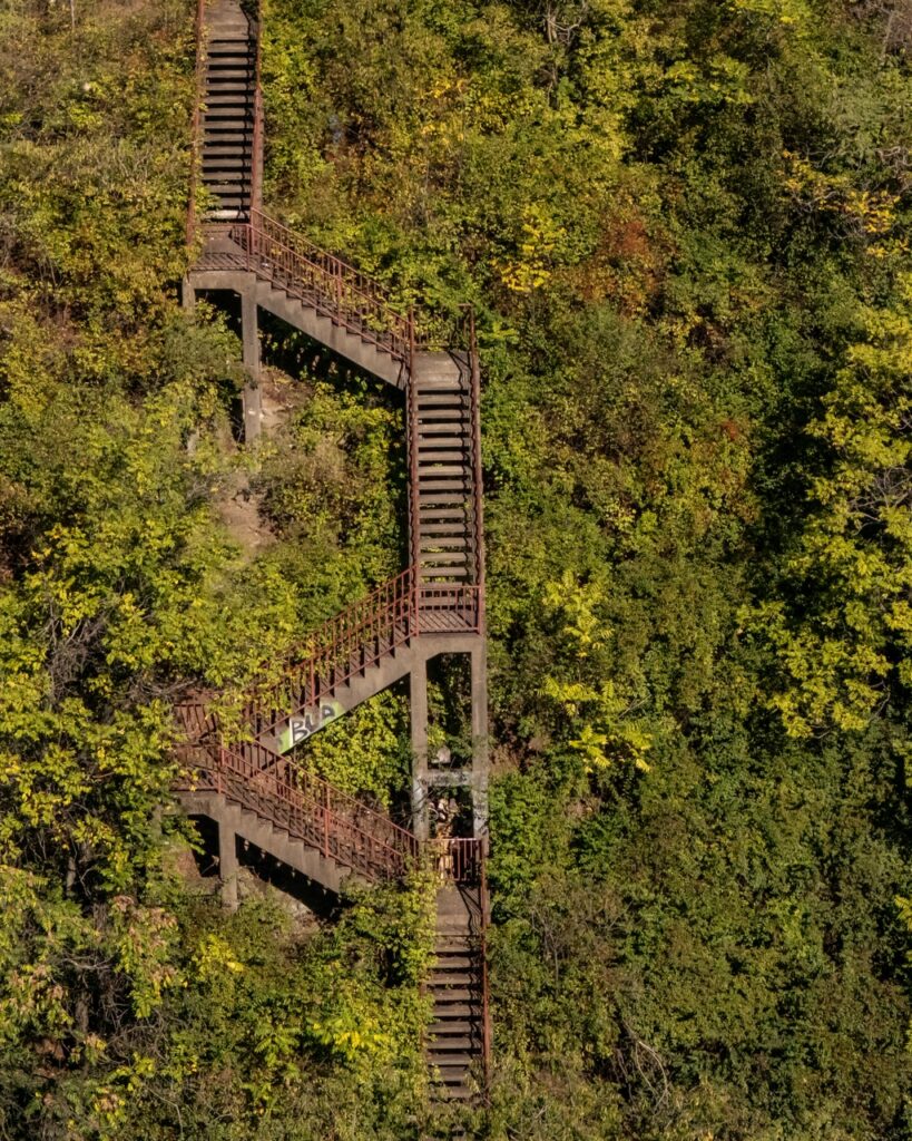 A zig-zag set of stairs going through trees on a mountain side.