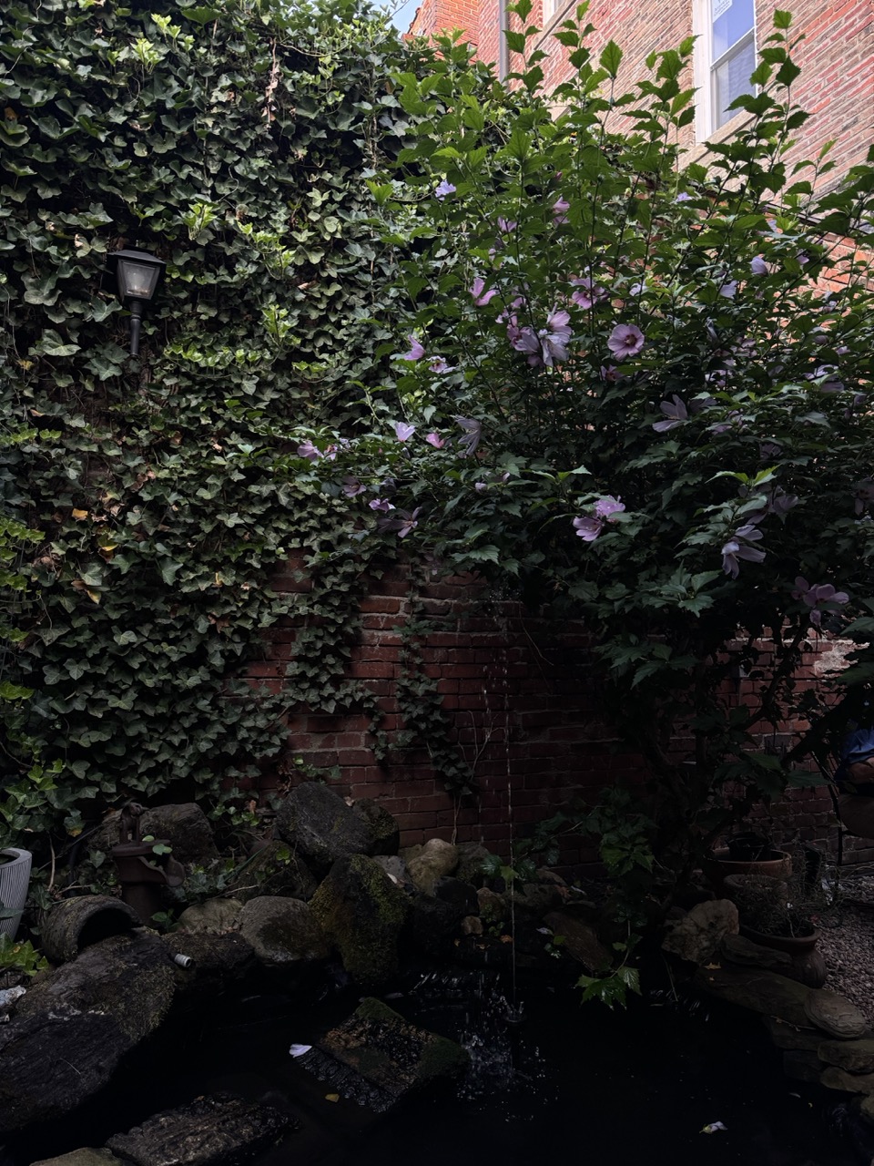 A wall of ivy and flowers outside.