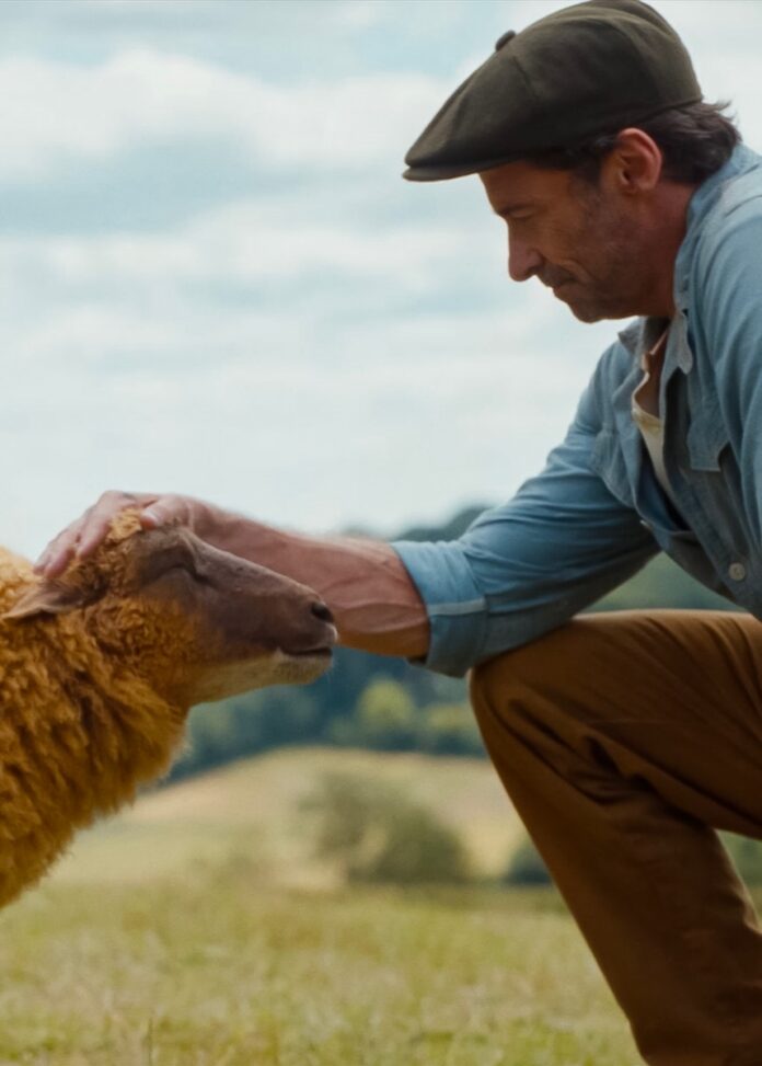 High Jackman in a cap kneels down to pet a brown sheep.