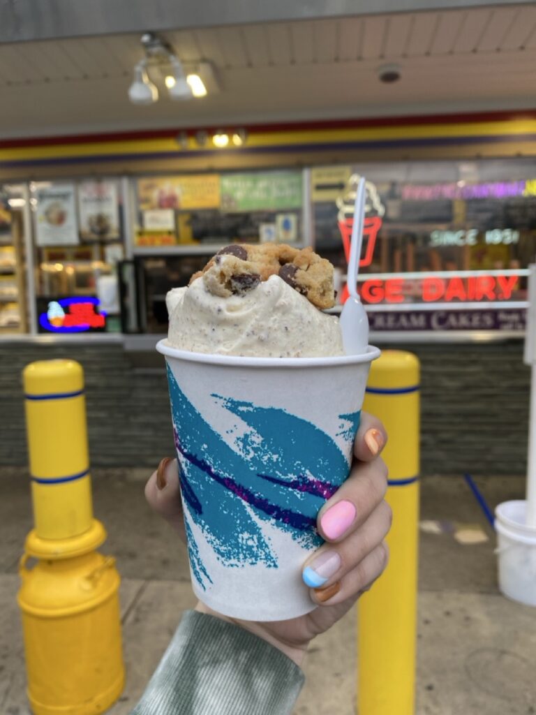 An arctic ice cream swirl with cookie pieces inside vanilla ice cream.