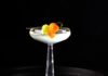 Botanical Burn: A Spicy Gin Cocktail A tall coupe glass with a nearly clear spicy floral cocktail featuring a habanero and cucumber garnish.