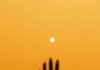 Your Summer Solstice Horoscope for June 2026 A person raises to hand up in a yellow/orange sky to touch the summer sun.