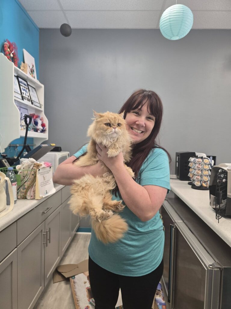 A woman holds an orange, fluffy cat.