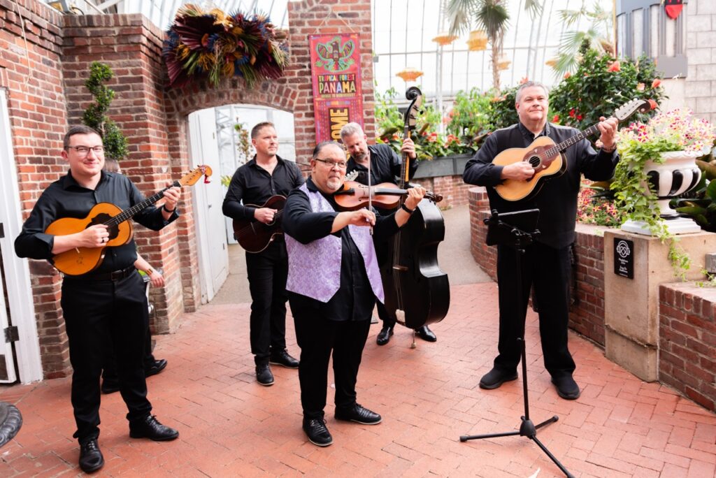 A band of guitarists, a violinist, and a bassist play on a brick walkway.