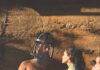 Quantum Theatre Brings Us Back to Pittsburgh’s Forgotten Island With ‘The Tempest’ A woman in a dress looks up at a shirtless man with his head in a cage.