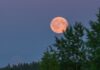 Your August 2026 Horoscope for the Full Moon in Pisces A full moon with an orange tint over green trees and a lake.