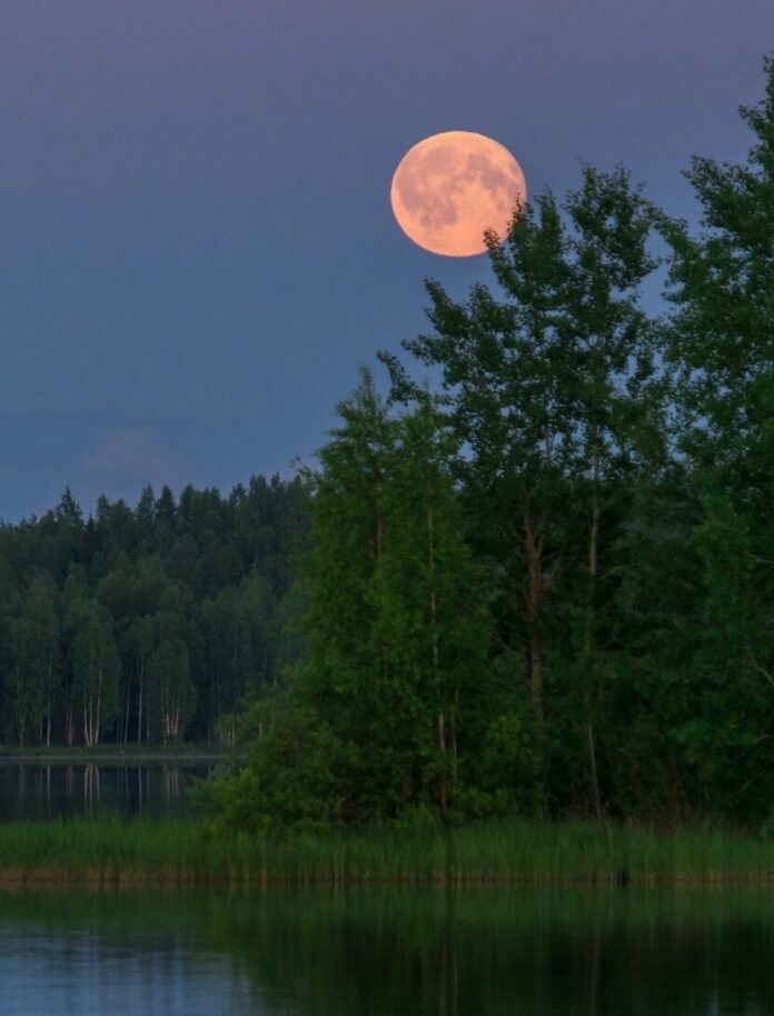 A full moon with an orange tint over green trees and a lake.