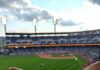 Hot Tickets in Pittsburgh With Sean Collier: August 17-23 A dog looks out at a baseball field with the stadium lights on.