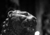 Leo Horoscope 2026–2027: Yearly Love, Career, Money, and Health Predictions A black and white photo of a lion statue laying down.