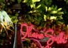Okane in Downtown Pittsburgh Lets You Try Three Levels of Japanese Sweets, Sushi, and Chef Experiences A bottle of sake in front of a greenery wall and Okane Sushi sign.