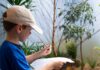 Pittsburgh Events: Your Guide to What’s Happening This Week A little boy writing on a sheet of paper in front of a desert exhibit.