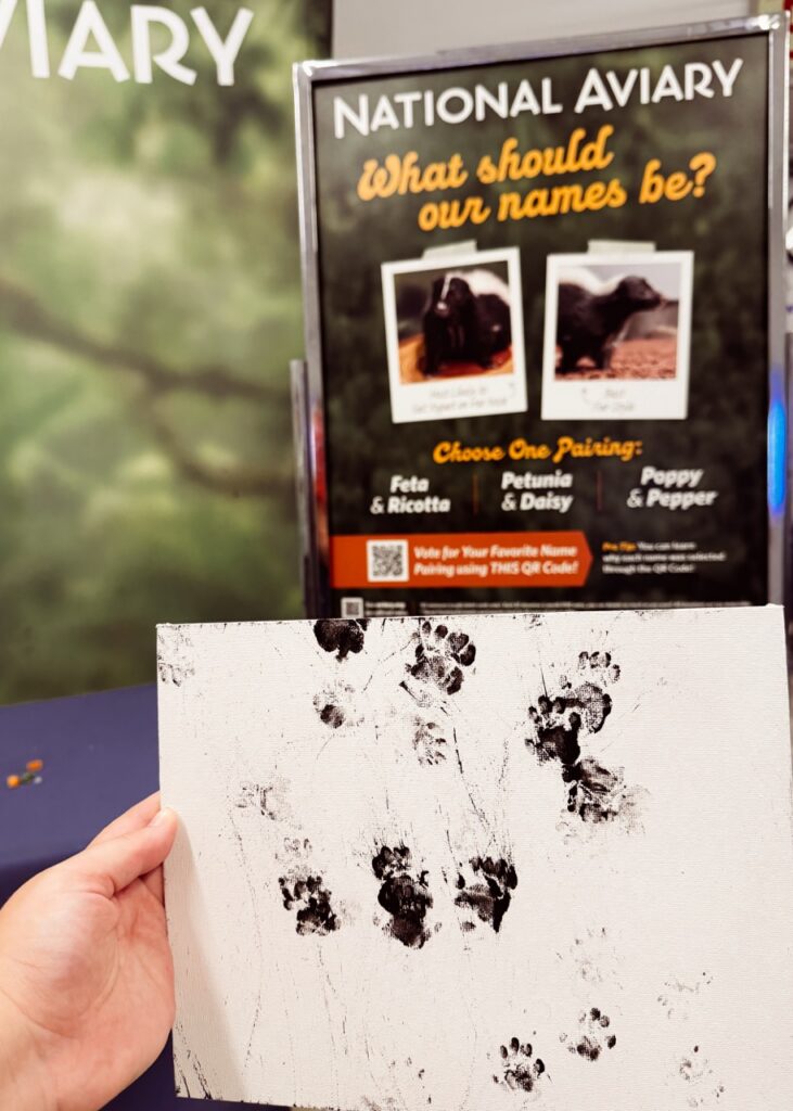National Aviary skunk sisters' paw prints on canvas; vote for their names!