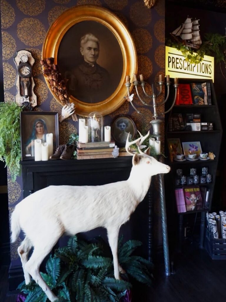 Albino deer taxidermy in front of a vintage portrait and a "Prescriptions" sign.