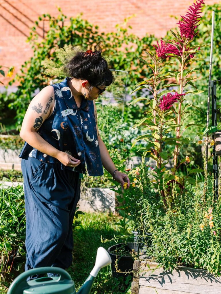 Woman tending to plants in a garden, possibly for paper making.