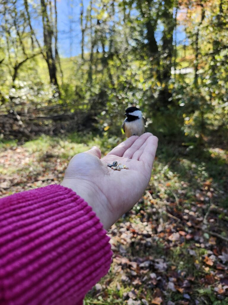 Birding Expedition TABLE Magazine 768x1024