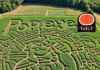 The Best Corn Mazes Near Pittsburgh to Visit This Fall Popeye corn maze in Pittsburgh, an aerial view of a large corn maze.