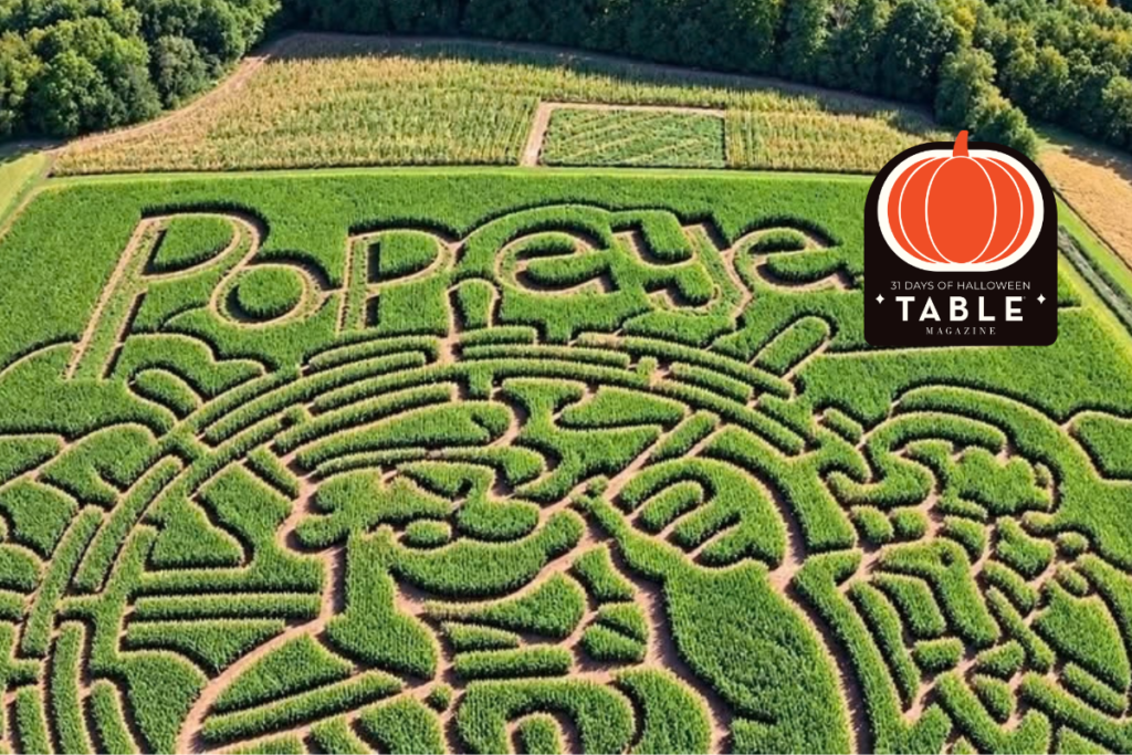 Popeye corn maze in Pittsburgh, an aerial view of a large corn maze.