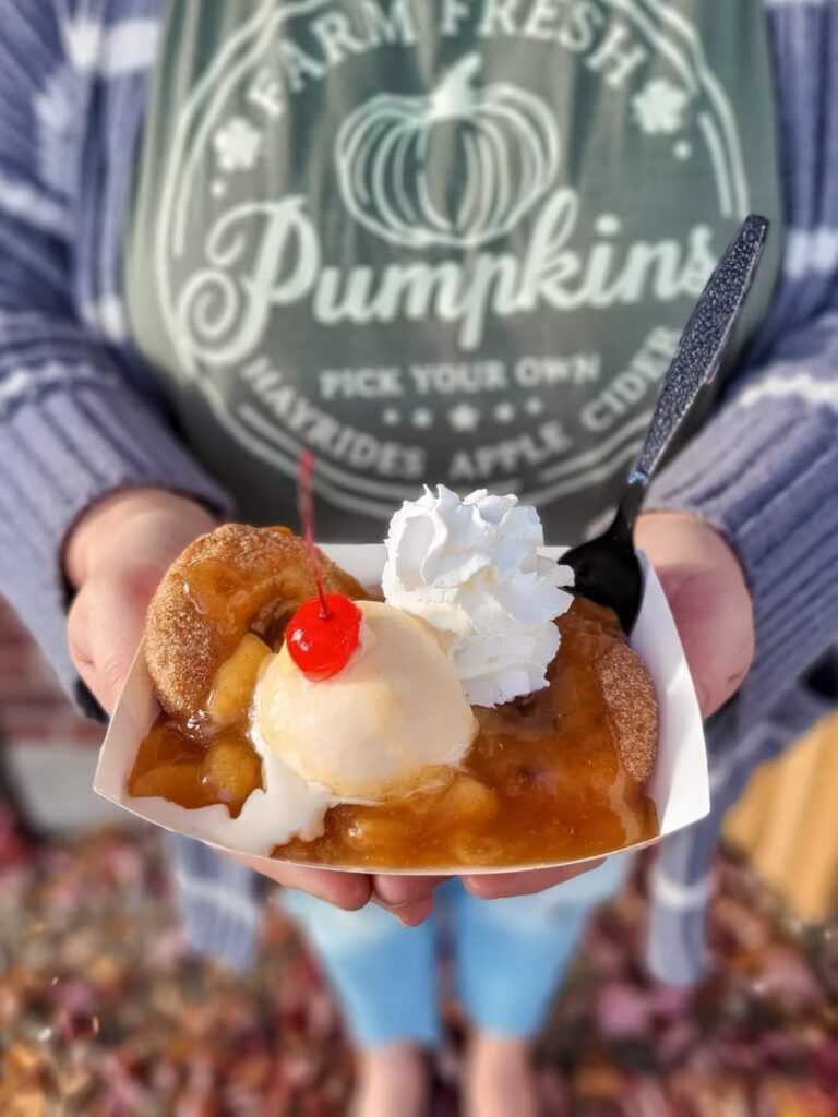 Warm apple crisp with ice cream and cherry, perfect fall treat