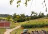 The Best Corn Mazes Near Pittsburgh to Visit This Fall Tractor pulling a wagon of people through a corn maze near Pittsburgh's School Barn.